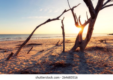 Sunrise At Folly Beach, James Island, South Carolina, USA