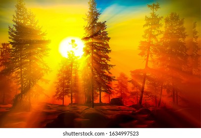 Sunrise in forest landscape. Winter trees at dawn