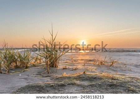 Similar – Image, Stock Photo Wadden Sea at the King’s Harbour in front of List