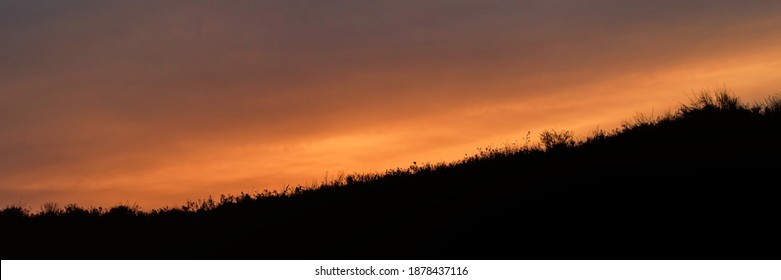 Sunrise grass and flowers silhouettes with orange dramatic sky - Powered by Shutterstock