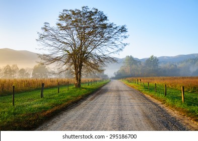 Sunrise At Great Smoky Mountains Road