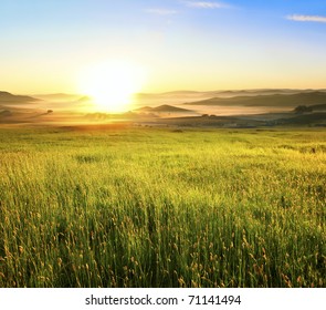 Sunrise in green rural field - Powered by Shutterstock