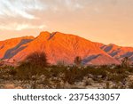 Sunrise illuminating Santa Rosa Mountains in Southern California. View from Borrego Springs in December. Vibrant golden hues. Perfect for nature, travel and scenic visuals.