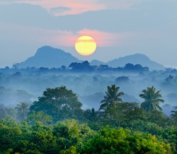 Lever De Soleil Dans Les Jungles Du Sri Lanka
