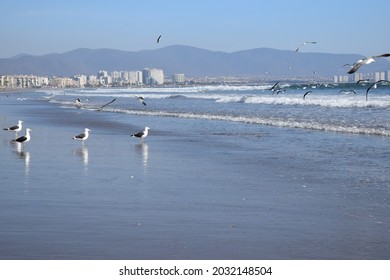 Sunrise La Serena, Coquimbo, Chile. 