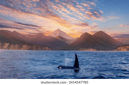 Sunrise landscape Vilyuchinsky Volcano with killer whale. Concept Travel photo Kamchatka Peninsula Russia. - Powered by Shutterstock