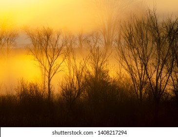 Sunrise Light Envelopes The Trees And Grounds At The  Sanctuary In Jackson County, Michigan