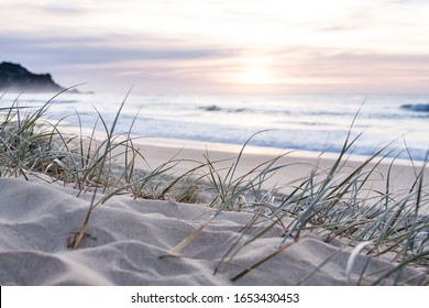 Sunrise Light On White Sand Beach With Dune Grass In Australia With Surf Waves Of The Pacific Ocean 