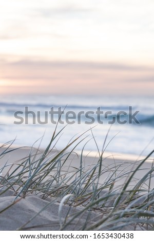 sunrise light on white sand beach with dune grass in Australia with turquoise surf waves of the pacific ocean 