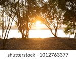 sunrise light rays fall landscape trees silhouette
