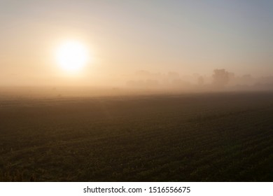 Sunrise In Lonjsko Polje, Croatia