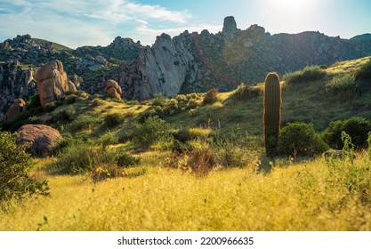 Sunrise In The Majestic McDowell Mountains