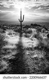 Sunrise In The Majestic McDowell Mountains