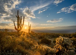 Sunrise In The Majestic McDowell Mountains In Scottsdale, AZ