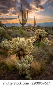 Sunrise In The Majestic McDowell Mountains In Scottsdale, AZ