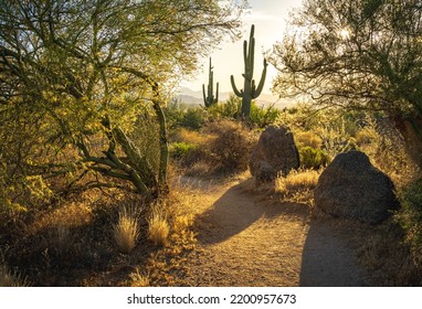 Sunrise In The Majestic McDowell Mountains In Scottsdale, AZ