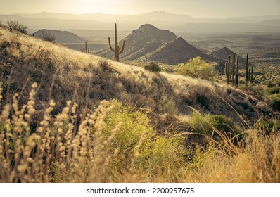 Sunrise In The Majestic McDowell Mountains In Scottsdale, AZ