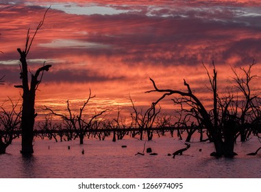 Sunrise Menindee Lakes NSW