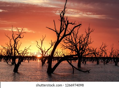 Sunrise Menindee Lakes NSW