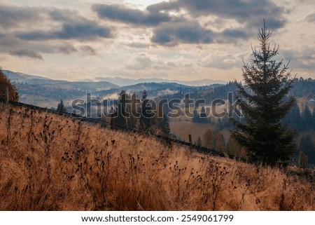 Similar – Image, Stock Photo Mystical sunrise in misty oak forest