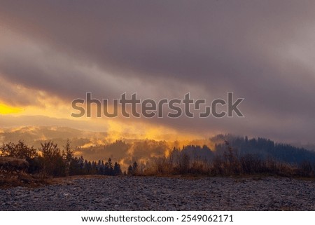 Similar – Image, Stock Photo Mystical sunrise in misty oak forest