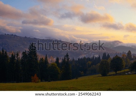 Similar – Image, Stock Photo Mystical sunrise in misty oak forest