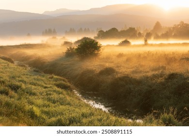 Sunrise in the morning, sunrise with clouds in Beautiful British Columbia Canada. Mist and fog. Morning fog. - Powered by Shutterstock