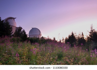 Sunrise At A Mountain Observatory In Front Of Beautiful Purple, Pink Flowers 