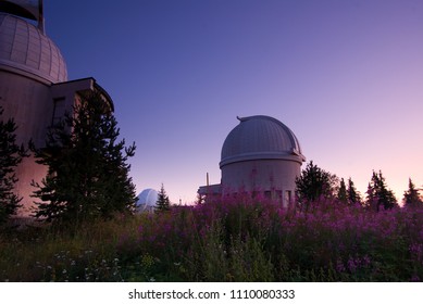 Sunrise At A Mountain Observatory In Front Of Beautiful Purple, Pink Flowers 