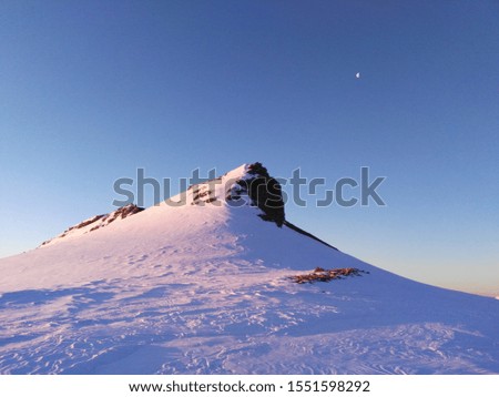 Similar – Image, Stock Photo In the snow Nature