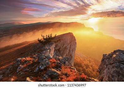 Sunrise in the mountains Ai-Petri. Alupka, Crimea, Ukraine