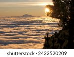 Sunrise in mountains with inversion phenomenon, low clouds lit by sun and Teide peak on horizon. Refugio Punta de Los Roques, National Park Caldera de Taburiente, La Palma, Canary Islands, Spain