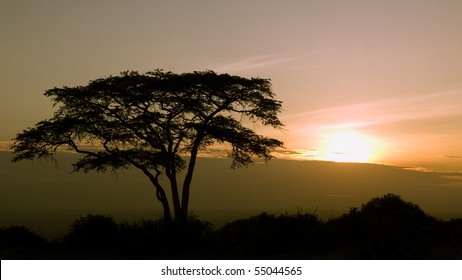 Sunrise In Nairobi National Park