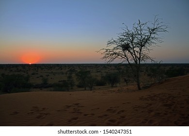 The sunrise in namibian desert