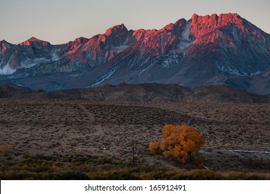 Sunrise Near Bishop, California