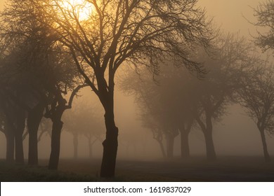 sunrise near Znojmo, South Moravia, Czech Republic - Shutterstock ID 1619837029