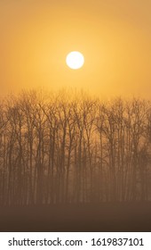 sunrise near Znojmo, South Moravia, Czech Republic - Shutterstock ID 1619837101