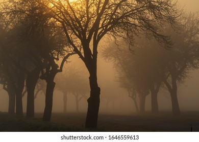 sunrise near Znojmo, South Moravia, Czech Republic - Shutterstock ID 1646559613