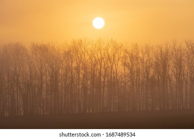 sunrise near Znojmo, South Moravia, Czech Republic - Shutterstock ID 1687489534