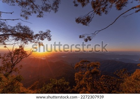 SUNRISE IN New England National Park, Darkwood Rd, Darkwood NSW 2454, Australia