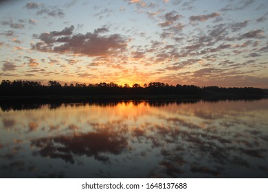 Sunrise In Ocala National Forest