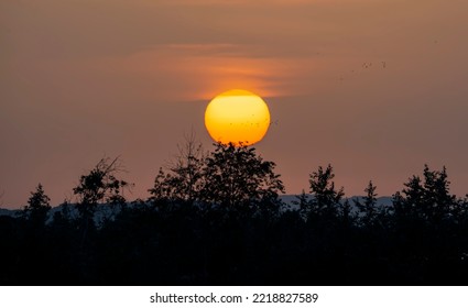 Sunrise In Olbia, Sardinia - Italy