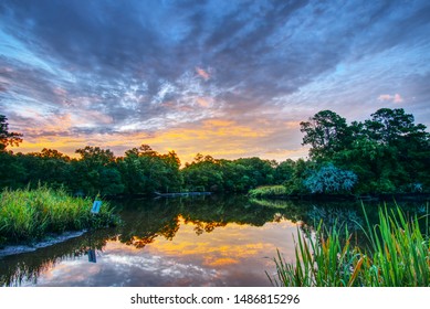 Sunrise On The Ashley RIver