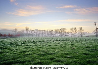 Sunrise on a cold morning - Shutterstock ID 2184969713