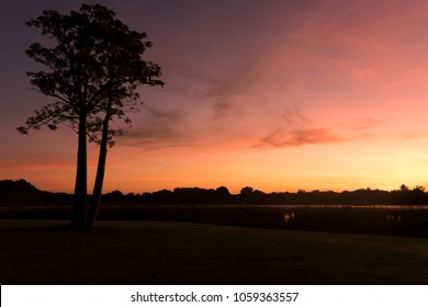 Sunrise On Easter With Boab Tree