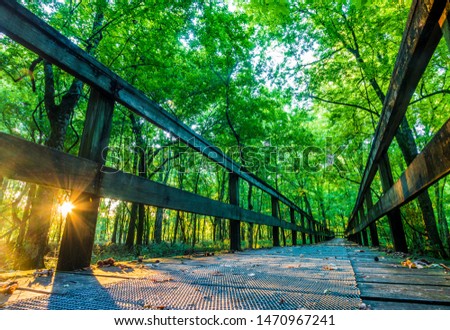 Sunrise On A Hiking Tail Natchez Trace Parkway, Tupelo, Mississippi. The Natchez Trace, also known as the 