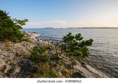 Sunrise On Lake Ladoga, Karelian Isthmus, Russia