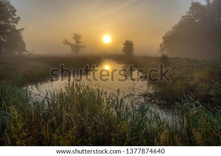 Similar – Morgens nebliger Fluss. Sommer nebliger Sonnenaufgang