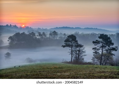 Sunrise On A Misty Morning In Salies-de-Béarn