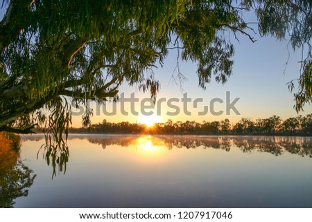 Sunrise on the Murray River in near Kingston-on-Murray in South Australia Stock foto © 